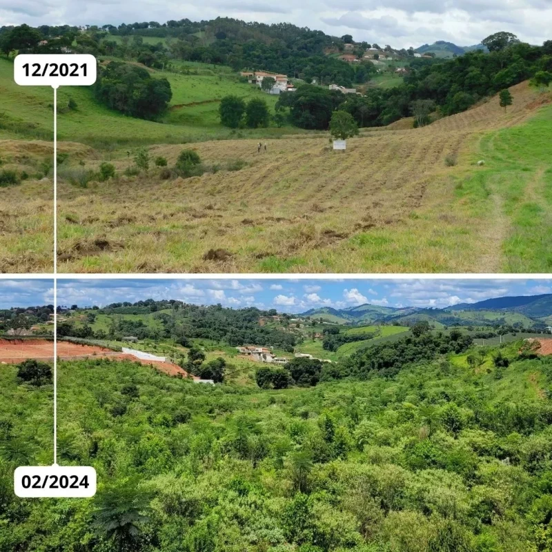 After three years, we can see the results of our efforts with our project in the Atlantic Forest of Brazil.