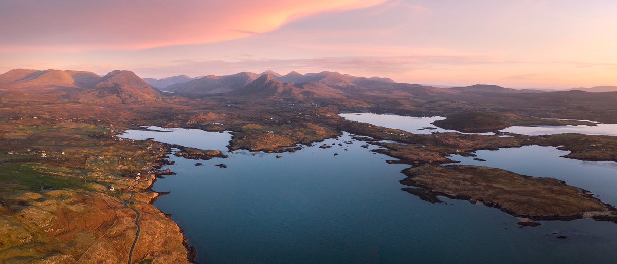 PJ Rankin tweet media