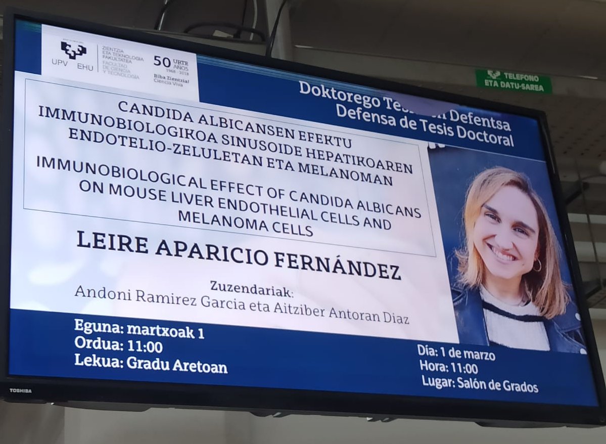 microbiomicsEHU's tweet photo. Leire Apariciok bere doktorego tesiaren defentsa egingo du hurrengo ostiralean:

 "Immunobiological effect of Candida albicans on mouse liver endothelial cells and melanoma"

Data: 2024/03/01
Lekua: @ztf_fct-ko Gradu aretoan

@aizepellon,@LabMoyes,@upvehu,@RealPacoBorrego https://t.co/chJBoDleLr