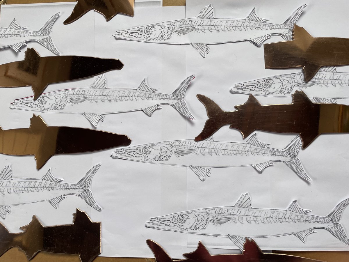 Copper plates cut and polished, next step a wax ground. This is the rough layout for my latest etching- a ‘Battery of Barracuda.’ It will be quite large..!
⁦<a href="/RoyalWilliamYd/">Royal William Yard</a>⁩ #printmaker #etchings #marinelife #plymouthprintmaker