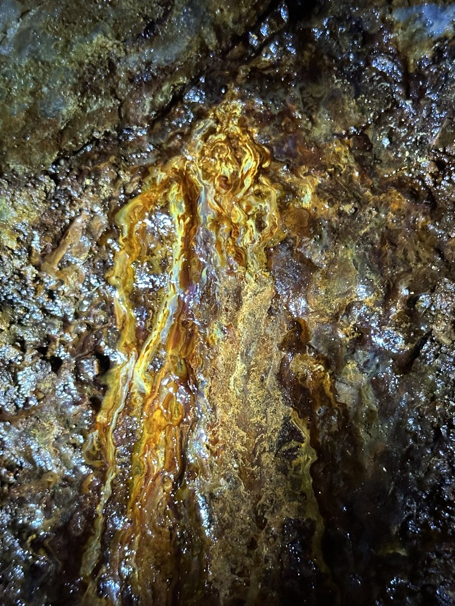 Sampling trip to the former silver mine „Segen Gottes“ in the Black Forest.