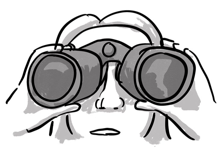 Aurora #LicencedBirdRinger tweet media