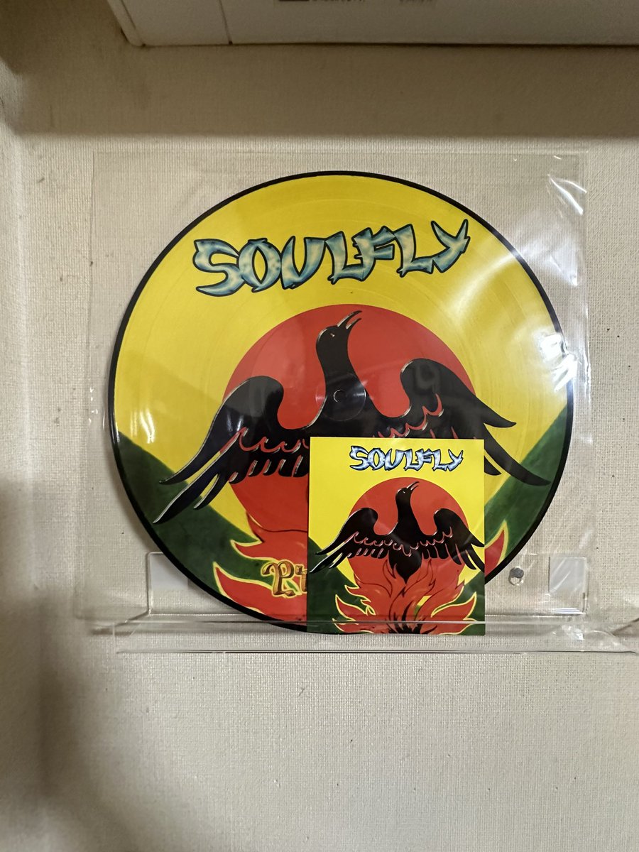 poochandog's tweet photo. #VisionOfDisorder
#LoudRocks
#OneminuteSilence
#Soulfly
Soulflyの名盤1stも放出してしまった
これからは絶対放出しないようにしなければ後で絶対後悔する🫣 https://t.co/PWNILf6BAX