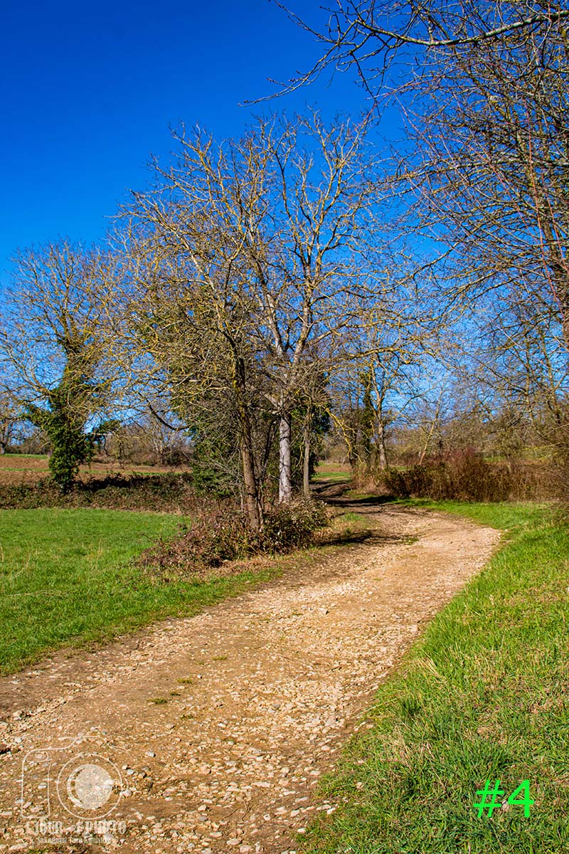 1jour1photo_68's tweet photo. #habsheim #alsace #nature #baladenature #1day1shot #1day1pic #1day1photo #1jour1photo #streetphotographie #photographienature #photooftheday #photography #naturephotographie #photographies #photographier #canon1300d #canoneos1300d #sunrise #village #hiver #leverdesoleil https://t.co/UmajXCt5C0