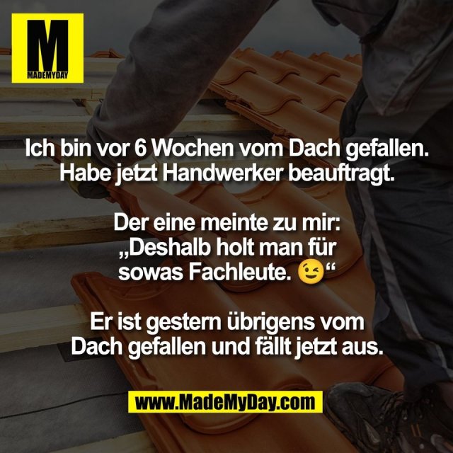 MadeMyDaycom's tweet photo. https://t.co/1sW547NBdq