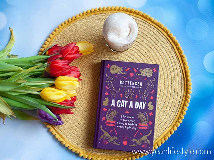 [Ad-gifted] Visit #blog to read our #book #review of #Battersea Dogs and Cats Home – A Cat A Day (365 stories of fascinating felines) 👉yeahlifestyle.com/book-review-ba… #bookbloggers #BookReview #BooksWorthReading #Reading #giftideas #influencers #bloggers #uk #britain #TeenLife #gifts