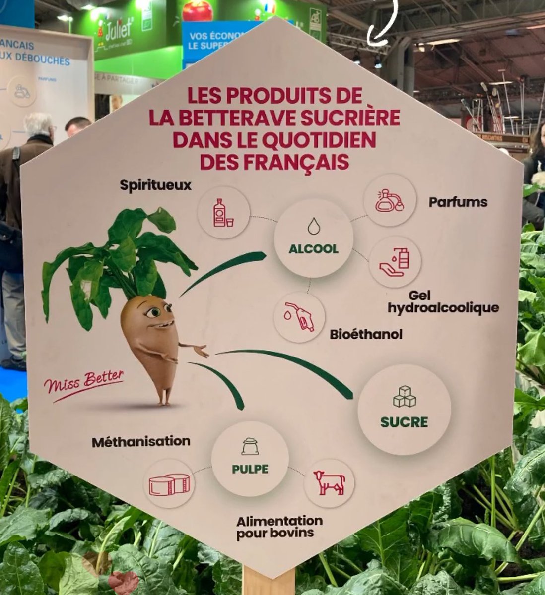 _MissBetter's tweet image. Connaissez-vous les produits du quotidien issus de @_MissBetter ?
Le #sucre pour vos plaisirs sucrés 🎂
L&apos;#alcool pour les spiritueux, parfums, gel hydroalcoolique, @bioethanol_fr ⛽
La #pulpe pour nourrir les bovins 🐮 et la méthanisation
#FiersDeNosBetteraviers #SIA2024