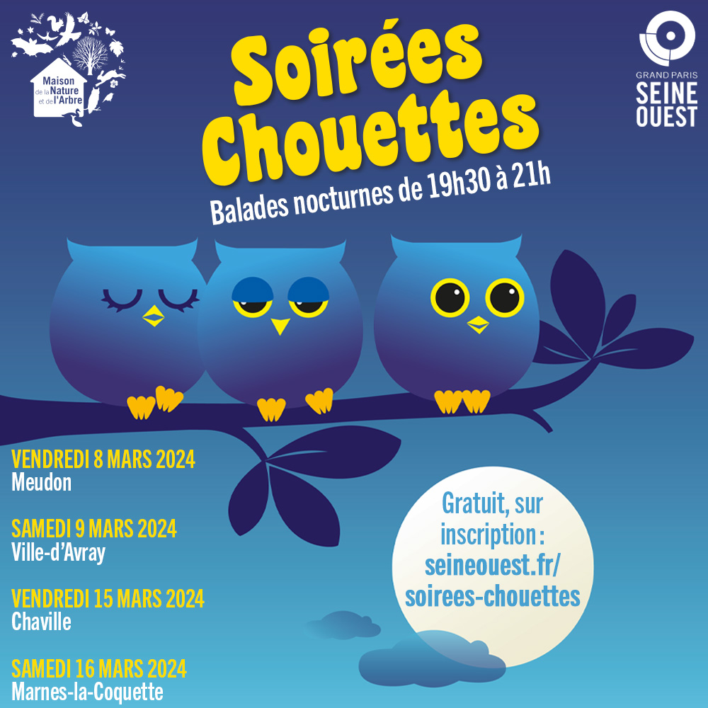 En mars, découvrez nos #SoiréesChouettes ! 🌙 Ces balades pédagogiques sont l'occasion d'écouter, observer et en apprendre plus sur les rapaces nocturnes 🦉 Infos et inscriptions 👉 seineouest.fr/soirees-chouet…