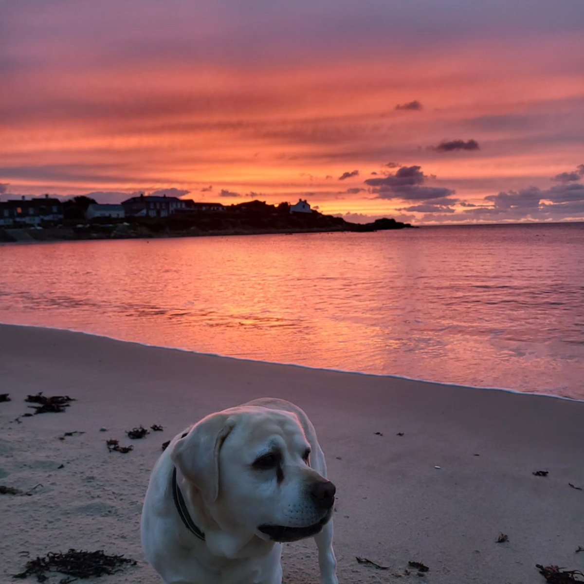 Amelia Mills (@ameliamills1) on Twitter photo Beautiful colours this morning on #scilly
<a href="/scillysailing/">Scilly Sailing</a>
<a href="/visitIOS/">Isles of Scilly</a>
<a href="/PenzanceHeli/">Penzance Helicopters</a>
<a href="/KWTWeather/">Kernow Weather Team</a> Beautiful colours this morning on #scilly
<a href="/scillysailing/">Scilly Sailing</a>
<a href="/visitIOS/">Isles of Scilly</a>
<a href="/PenzanceHeli/">Penzance Helicopters</a>
<a href="/KWTWeather/">Kernow Weather Team</a>