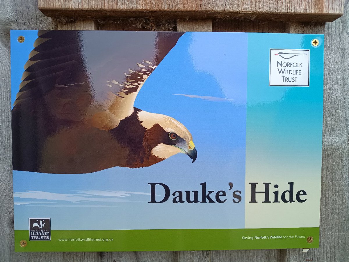 Steve Gantlett tweet media