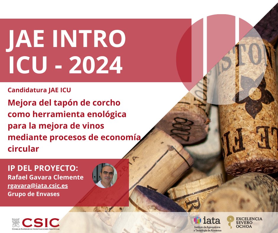 ¿Te interesa la investigación en producción de envases más sostenibles? Contamos con 2 becas de introducción a la investigación en el <a href="/FoodPackGroup/">Packaging Group</a> del IATA. 

Si te interesa, escribe al personal investigador responsable. 

📝Nota media de 7.5
🔗Más info: jaeintro.csic.es/jae-icu/