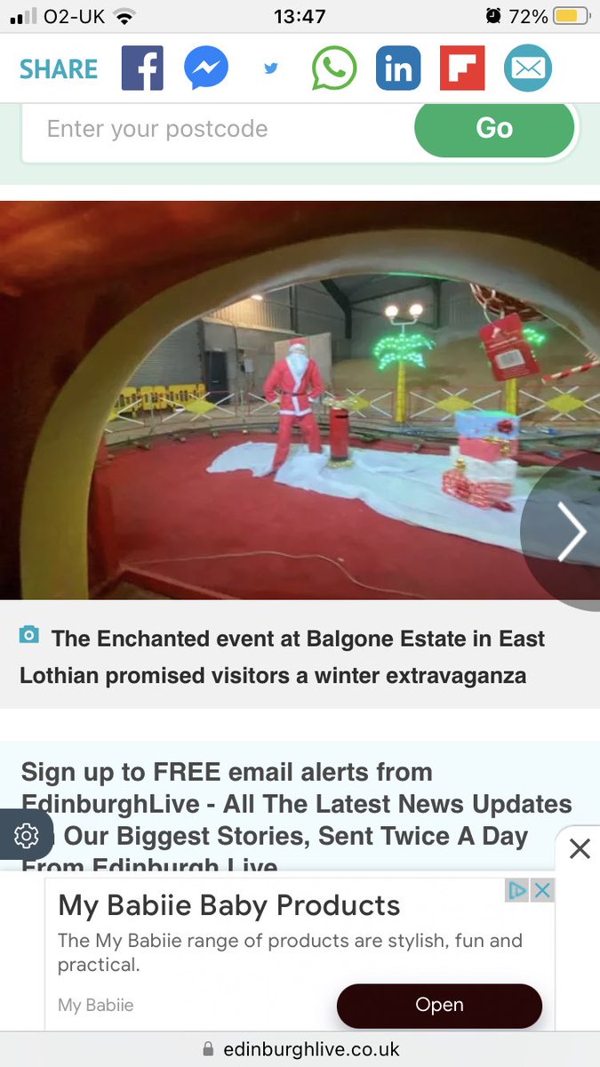 Alexander Williamson tweet media