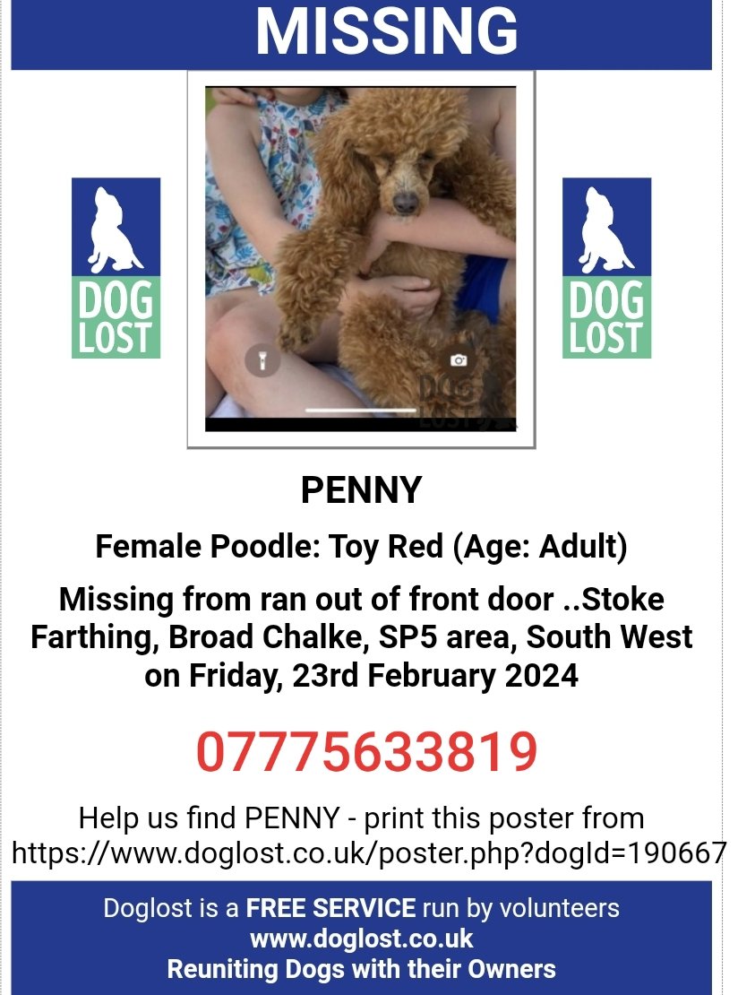 🐕 PENNY #missing red toy poodle bolted from her house in Stoke Farthing, Broad Chalke #Salisbury #SP5 on 23 February 2024 She is spayed & a much loved family pet with two young children devastated 😔 Any sightings please contact asap. doglost.co.uk/dog-blog.php?d…