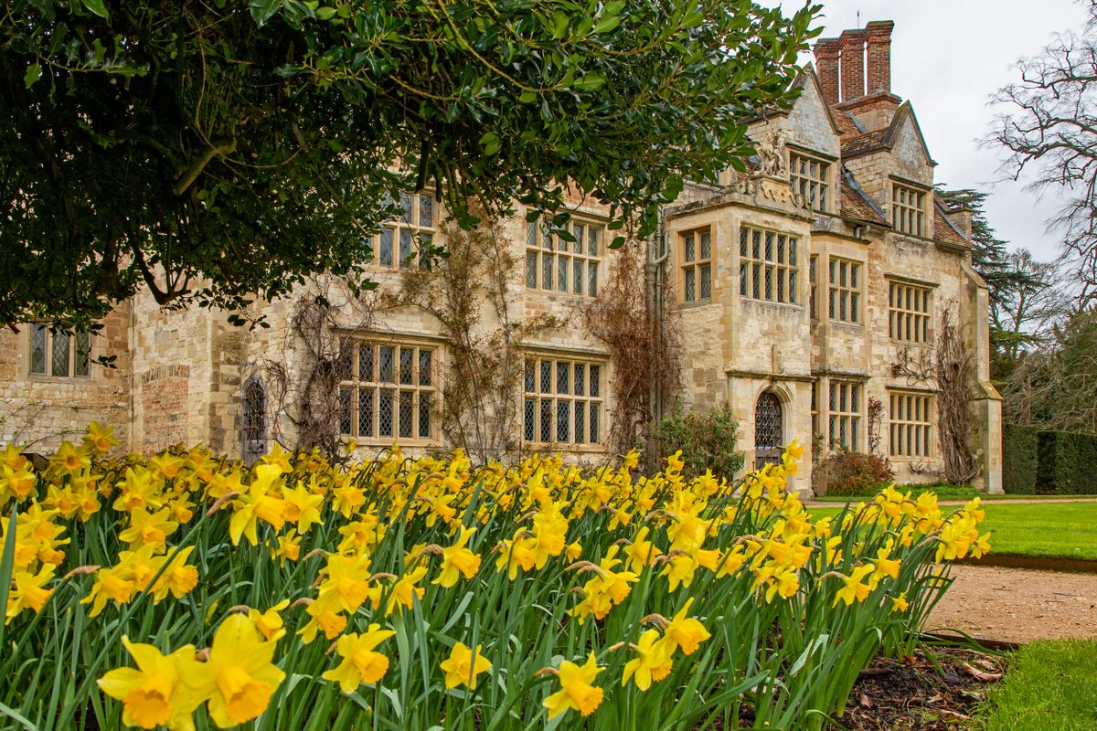 Spring is just around the corner... ☀️ Our Specialist Daffodil Tours will be back again from 18 March to 21 April every Sunday - Friday: bit.ly/AA-Daffodil-to… 📸NT Images/ Mike Selby #daffodils #spring #outdoors #SpringBlooms #NationalTrustGardens #SpringWalks #inspiration