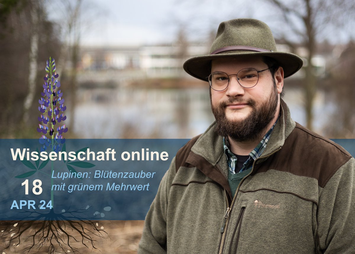 Save the date! April 18, 3 p.m. Thomas Classen will unravel the magic of lupins in his talk (german) "Lupins: Flower magic with green added value" as part of the "Science online" series. #ScienceOnline #Lupins #Sustainability
🔍 More info &amp; access: fz-juelich.de/de/ueber-uns/k…