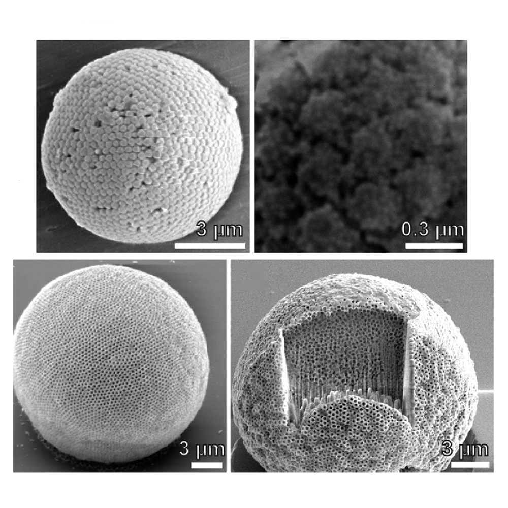 OpticaPubsGroup's tweet image. An Editors&apos; Pick via #OPG_OMEx: Photonic spheres by microgel templating [Invited] ow.ly/5FzI50QI30Z #StructuralColor #TemplatedAssembly @unifr