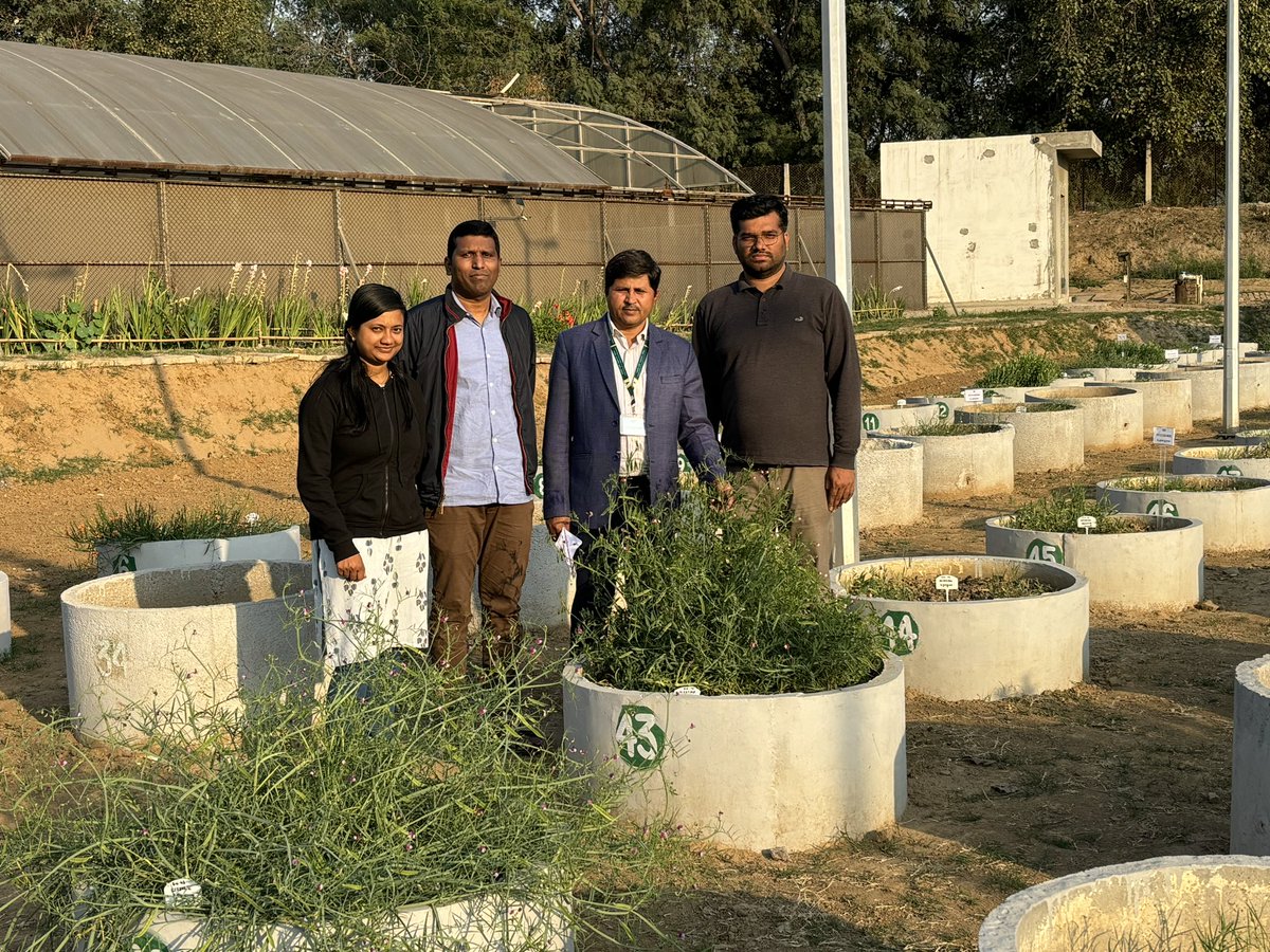 Vijay K Yadav (@drvijay777) on Twitter photo Today visited <a href="/INbpgr/">ICAR-NBPGR</a> research farm <a href="/imkuldeep18/">Kuldeep yadav</a> doing wonderful research on #grasspea including developing utilisation strategies for use of crop wild relatives <a href="/IcarIgfri/">ICAR - IGFRI, Jhansi</a> will be working in partnership for realising potential these valuable resources <a href="/ICARDA/">ICARDA</a> Today visited <a href="/INbpgr/">ICAR-NBPGR</a> research farm <a href="/imkuldeep18/">Kuldeep yadav</a> doing wonderful research on #grasspea including developing utilisation strategies for use of crop wild relatives <a href="/IcarIgfri/">ICAR - IGFRI, Jhansi</a> will be working in partnership for realising potential these valuable resources <a href="/ICARDA/">ICARDA</a>
