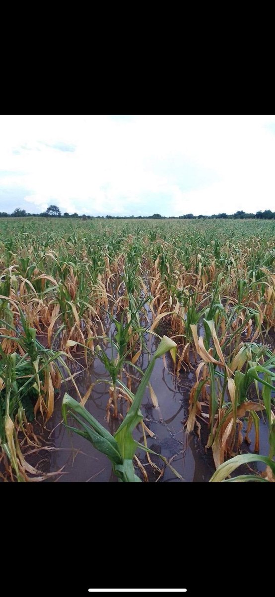 This planet doesn’t belong to us,rather we belong to it.Its high time we adopt new farming techniques instead of expecting the rains when we want.