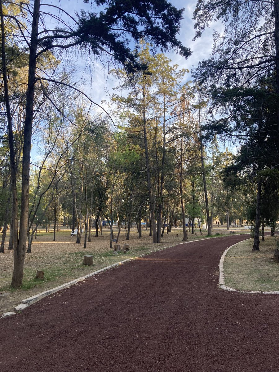 Count_Chokula01's tweet image. Solo por que note que necesito tener mucha condición 😏