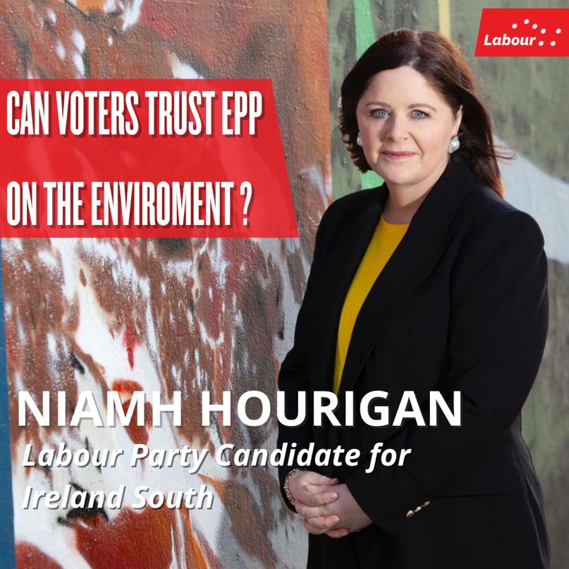 🌍️ The passing of the Nature Restoration Law is crucial for our planet. 81% of Europe’s assessed natural habitats are in poor condition. ❝But can you trust the EPP on the environment? - @niamhhourigan1 ➡️ labour.ie/news/2024/02/2…
