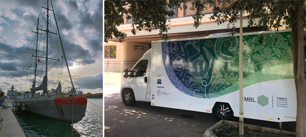 We have arrived in Malaga to start the second part of the #EMBLtrec expedition! 🇪🇸 Finally the team is getting back together for sampling and researching, this time along the Mediterranean coast. We can´t wait to meet our local partners along the way! 📸@IsabelFerreraC /IEO
