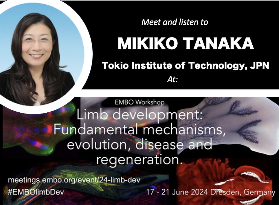 Sign up #EMBOlimbDev and don't miss the chance to listen to Mikiko Tanaka ! meetings.embo.org/event/24-limb-…