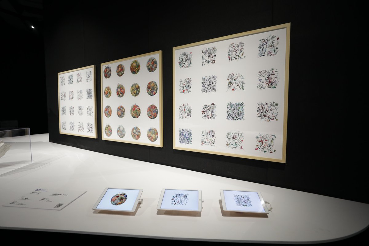 very happy to have our work ‘intertidal samples’ at the 6th Art and Science International Exhibition and Symposium in Beijing, the exhibition is ongoing until the 3rd of March.