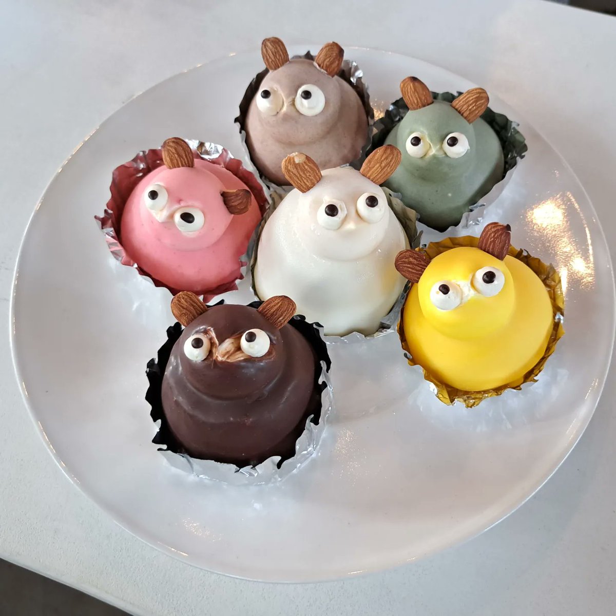 yoshiko_84's tweet photo. ハレルヤさんのたぬきケーキ🍰✨
昔はチョコだけだったけど、今はこんなに種類があるのよ💕
可愛い😊
#たぬきケーキ #ハレルヤ製菓 #徳島といえば https://t.co/pqmXDxulJD