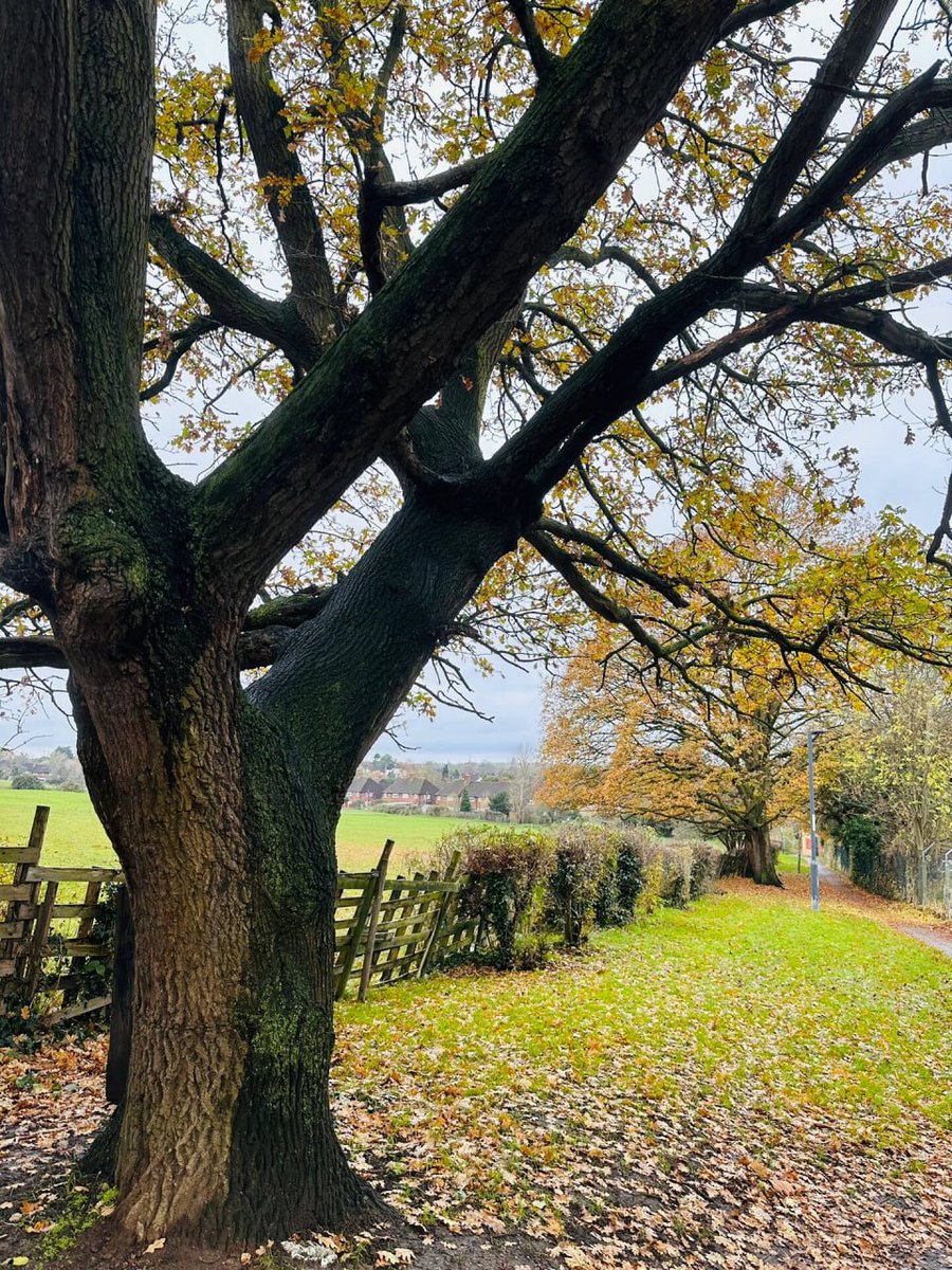 Arlet234232's tweet photo. Discovering this beautiful place filled my soul with joy and wonder. The beauty of nature never fails to amaze and inspire me. https://t.co/iPJ4qVKS5D