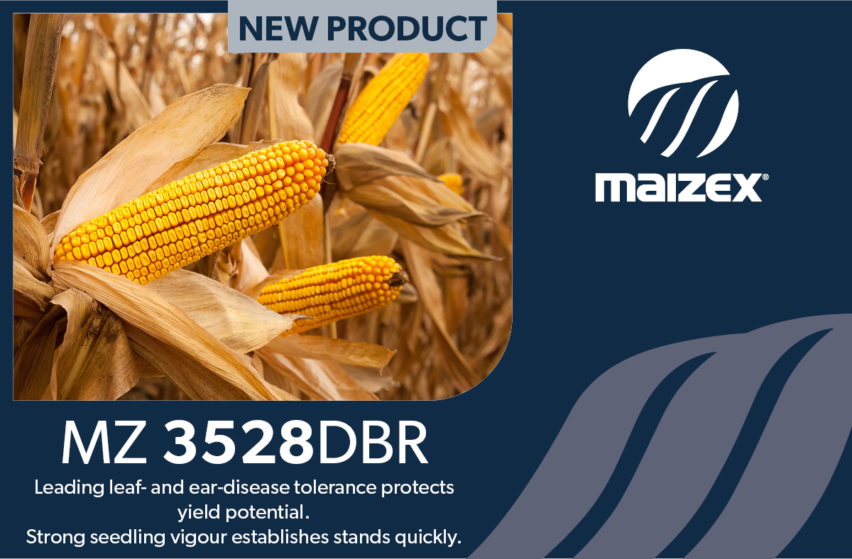 Maizex Seeds tweet media