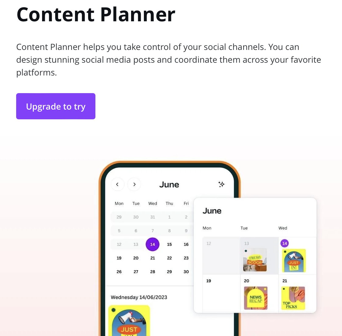 Nick Cicero tweet media