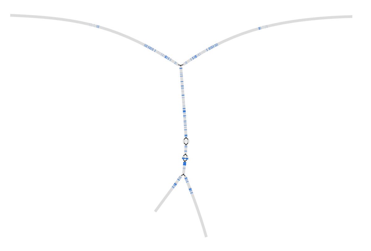 Marija Krasiļņikova tweet media