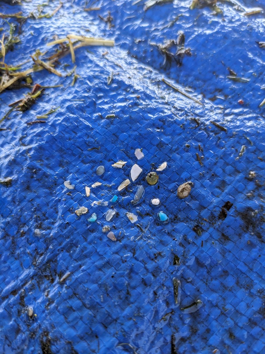 🔬We collect litter of all sizes when #TrappingTrash and 2023 was no different. Here's a look at how our small and large items stacked up. Our student researchers reported lots of small #foam pieces and #plastic fragments, large and small! #FightingFloatablesTO