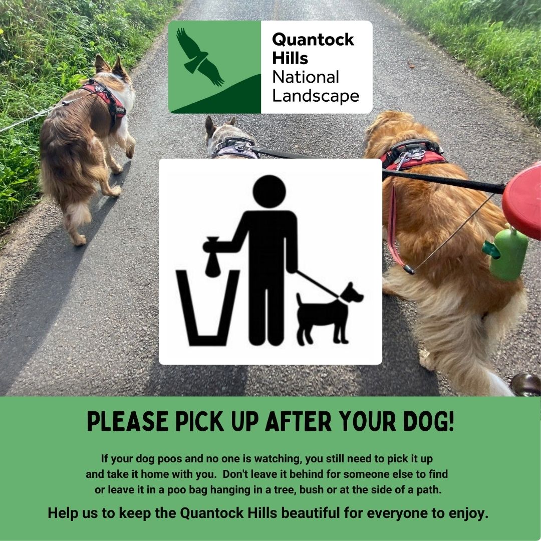 Please pick up after your dog! 💩 Dropping or depositing litter on any land in the open air is an offence, this includes your dog poo bags. When dog poo is not picked up it has more damaging consequences to the environment and grazing animals and wildlife than people realise ☹️