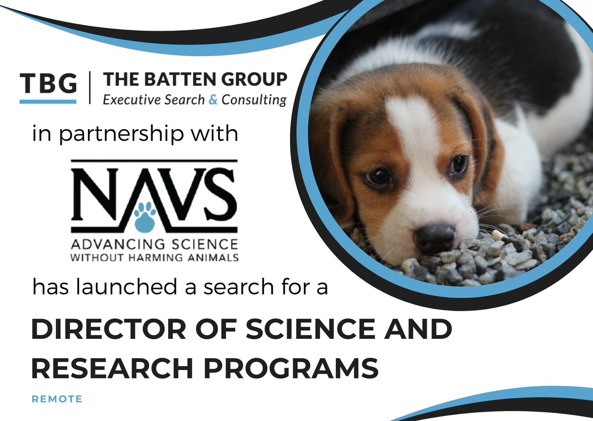 Join the fight for #Humanescience with @NAVS_US & IFER! Lead innovative research & advocate for alternatives to animal testing. 3-5 yrs experience + science/medicine background required. Apply today: bit.ly/49KU8Sr #ScienceJobs #NonprofitJobs #MakingADifference #