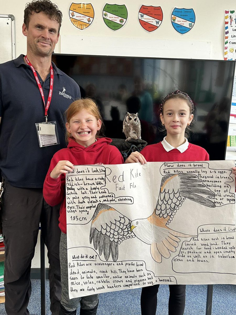 BritishBirdsofPrey tweet media