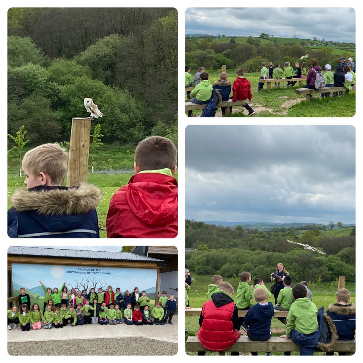 BritishBirdsofPrey tweet media