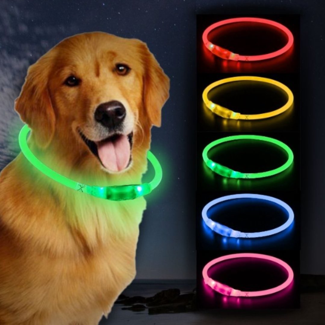 If your rescued dog likes to do their business in the dark, a light-up collar from PawsNBoots can help you spot them at night. ⭐️🐶💩

#DogCollar #LightCollar #LightUpCollar #SafetyCollar #DogSafety #RescueDog #RescueDogProducts #DogProducts #ProductsForDogs #DogCaretaker