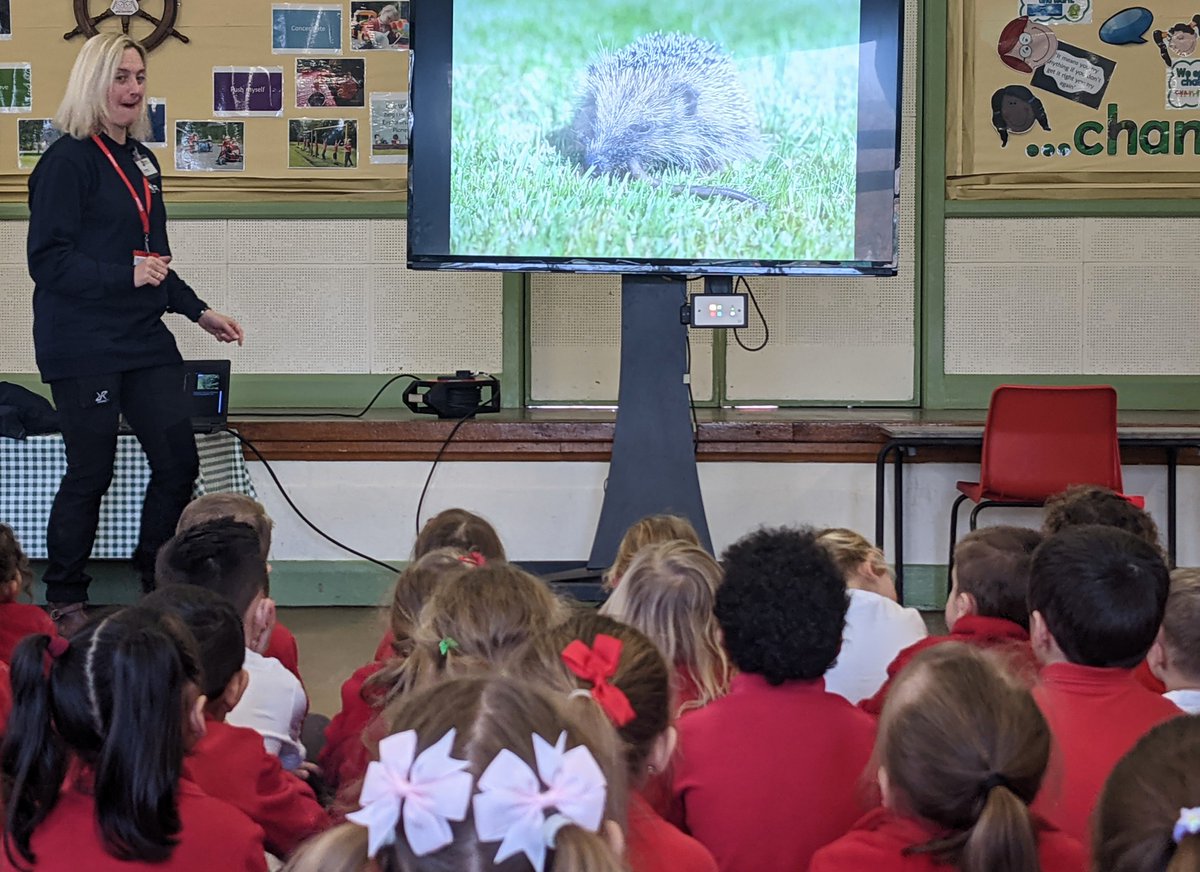 HurstGreen_Sch's tweet photo. We're working with @SurreyWT to become a #wilderschool! Today Reception and Nursery spent the day planting sunflower seeds and learned about the plight of Harriet the #hedgehog π»π¦ππ¦#learningoutsidetheclassroom #natureisaclassroom We can't wait to do more exiting projects! https://t.co/64u58Q7j06