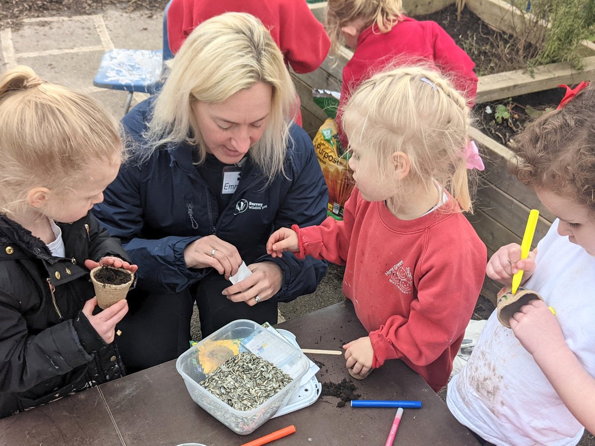 HurstGreen_Sch's tweet photo. We're working with @SurreyWT to become a #wilderschool! Today Reception and Nursery spent the day planting sunflower seeds and learned about the plight of Harriet the #hedgehog π»π¦ππ¦#learningoutsidetheclassroom #natureisaclassroom We can't wait to do more exiting projects! https://t.co/64u58Q7j06