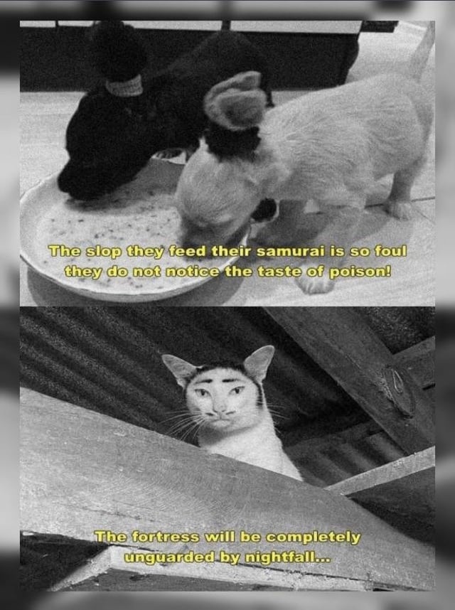 I think about this image every single day I really do belive that this is my favorite meme.