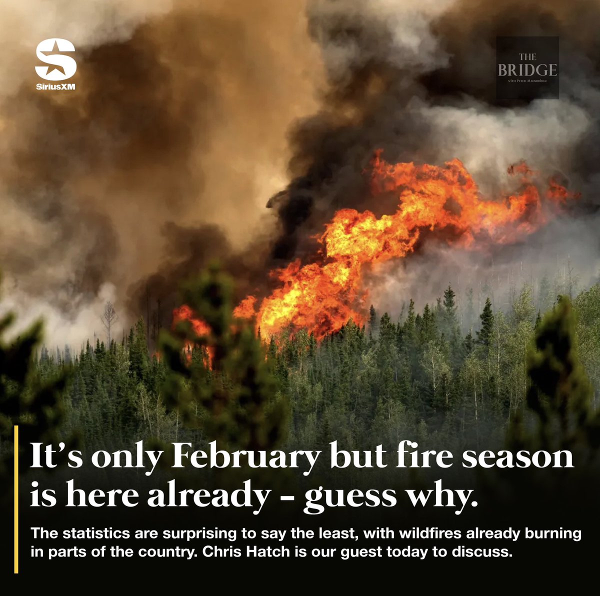 Are we really prepared for the effects of climate change in Canada, from fires to drought? @zerocarbon covers climate for the National Observer and brings his perspective today on The Bridge. Listen at noon EST on @CanadaTalks167, or wherever you get your podcasts.