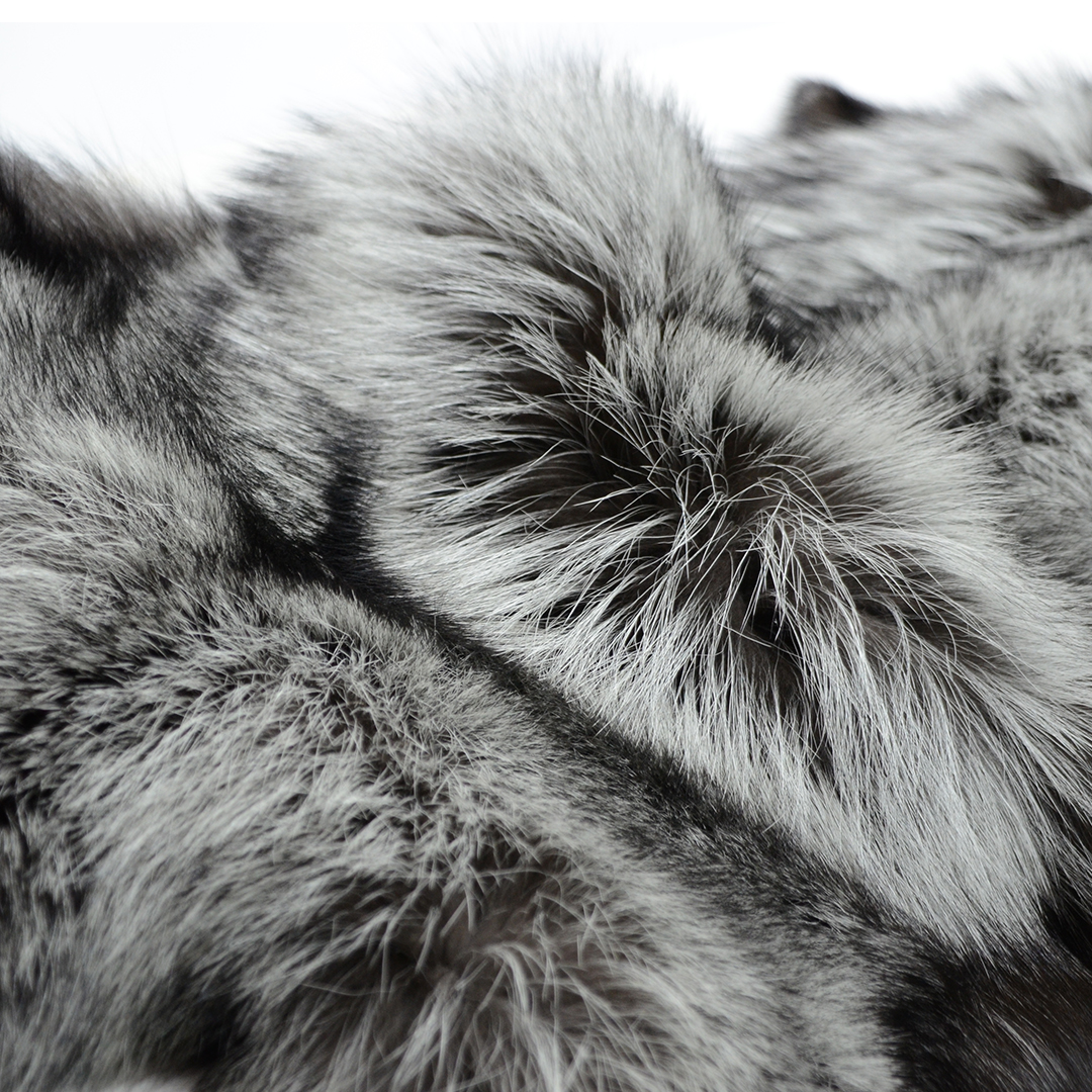 kastoriafurfair's tweet photo. The tannery of #TSOUKASBROS &amp; Sons among 49th KIFF’s exhibitors! With a great experience in the processing and dyeing of fur skins, the tannery is specialized in sable skins and in reinforcing.
49th #KIFF|25-27 APRIL 2024|Kastoria|Greece
https://t.co/RDxIuqvIdm
#kastoriafurfair https://t.co/B7zjKWxjXe