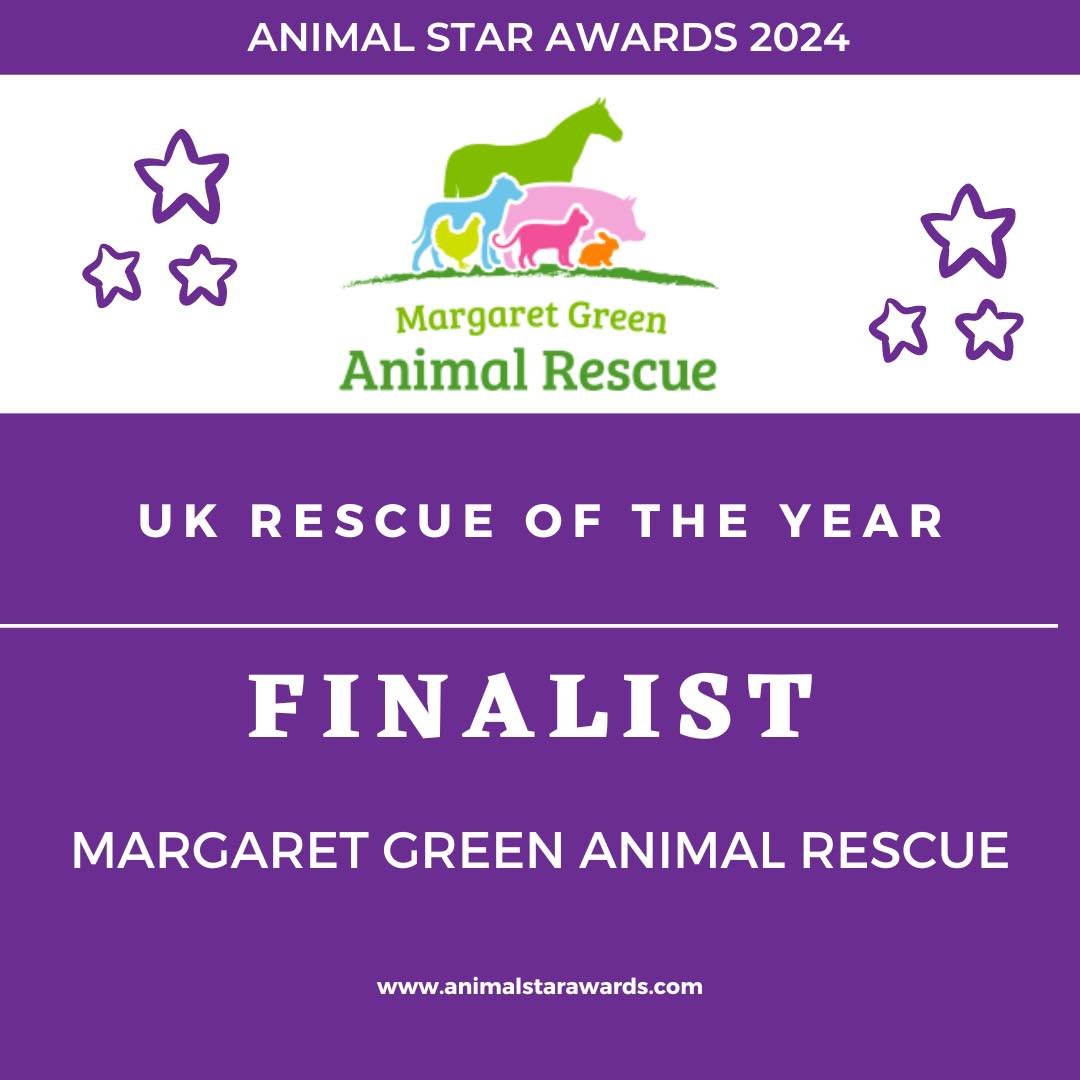 We are delighted to have been nominated for UK Rescue of the Year at the <a href="/animalstaruk/">Animal Star Awards</a> Awards!

We'd like to thank everyone for their support, and wish all our fellow nominees the best of luck!

On behalf of the rescue animals in our care, we are keeping all our paws crossed 💚