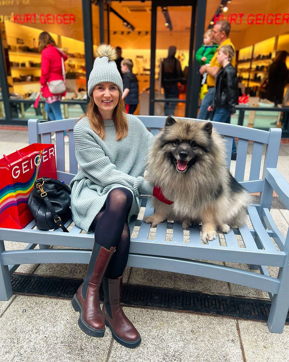 Is there a better shopping companion than a fluffy four-legged friend? 🐶🛍️ 📷 Leo the Kees