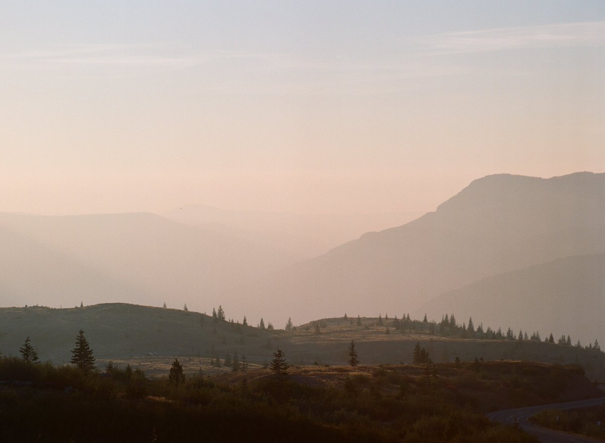 kivraan's tweet photo. 120 images from a smoky summer day 🎞️ https://t.co/YwmmCasNHq