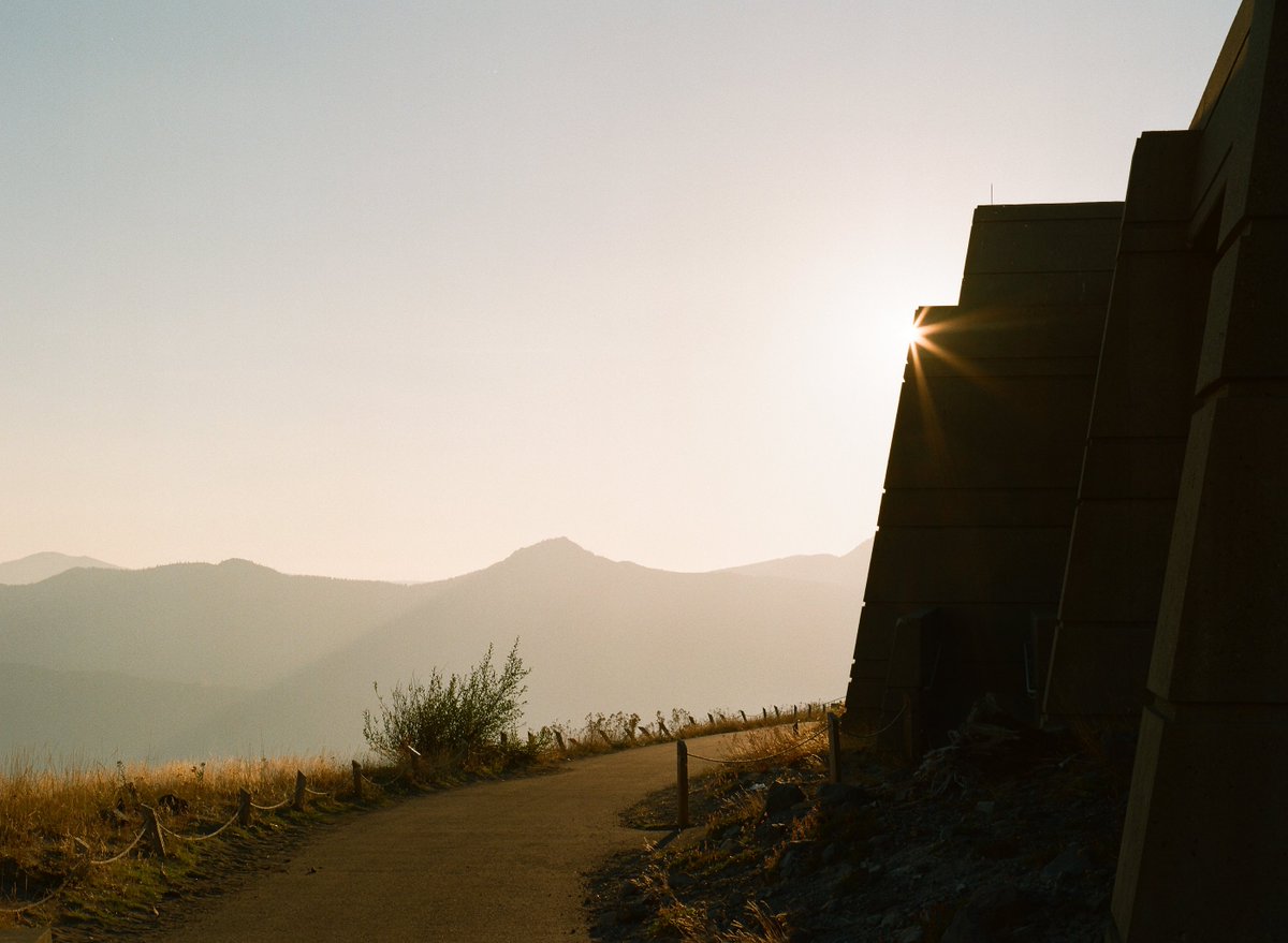kivraan's tweet photo. 120 images from a smoky summer day 🎞️ https://t.co/YwmmCasNHq