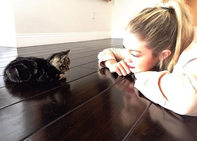 ⠀

ᅠ        เมื่อไหร่แมวน้อยที่เลี้ยงไว้
        จะพูดได้สักทีนะ

       “ไหนพูด สวัสดีหน่อยสิ”
⠀