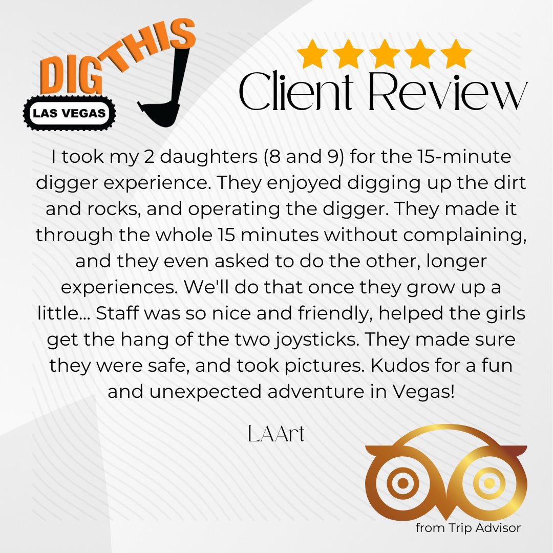 Dig This tweet media