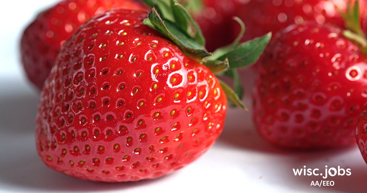 wiscjobs's tweet image. It’s #NationalStrawberryDay! #Strawberries are very healthy - containing many antioxidants &amp;amp; vitamins. If you want a new #FoodServiceJob, grab some berries &amp;amp; explore the Wisc.Jobs Web site to find your next opportunity! #WIjobs #govjobs ow.ly/Up0y50QI0bO